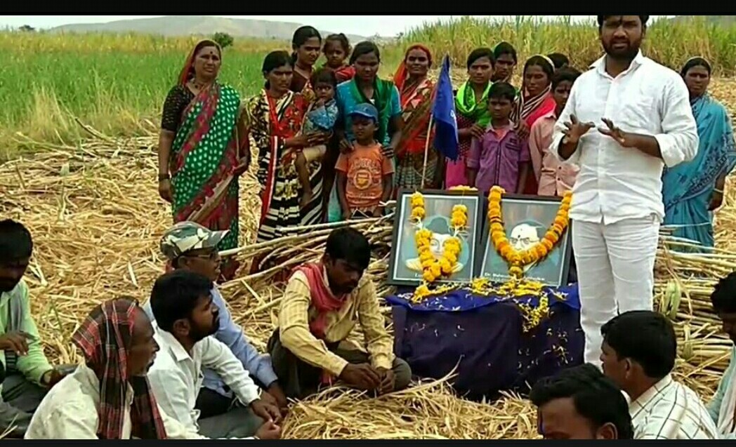 डॉ .बाबासाहेब आंबेडकर यांची १२७वी  जयंती मानवी हक्क अभियानने ऊसाच्या फडात केली साजरी