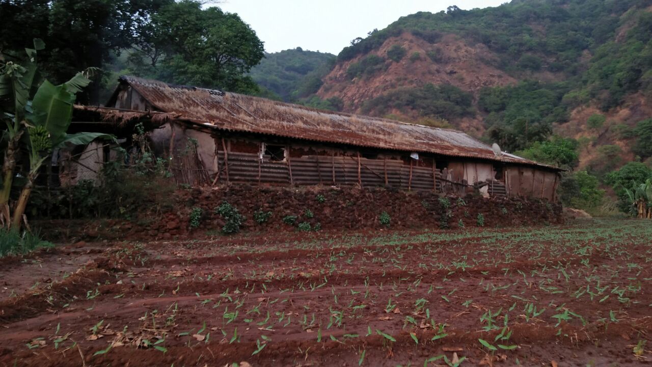 शासनाच्या व संबधित अधिकाऱ्यांच्या दुर्लक्षितपणामुळे अनेक गावं जगतात आदिवासी जिवन....