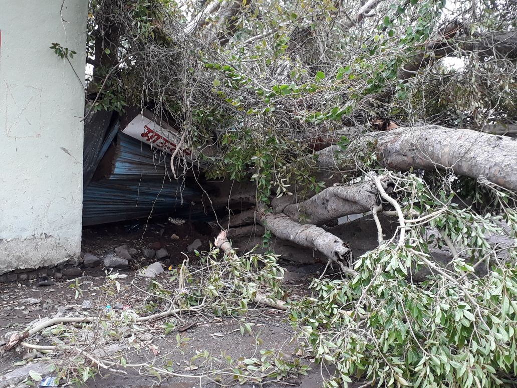 आष्टी तालुका परिसरात जोरदार वादळासह पाऊस