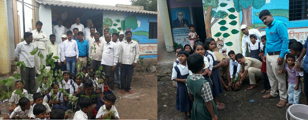 जिल्हा परिषद शाळा सरडे बंगला येथे वृक्षारोपण कार्यक्रम संपन्न