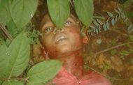 मुरपार येथे वाघाने घेतला बालकाचा बळी पहाटे साडे पाचची घटना नागरिकांचा वनविभागावर रोष