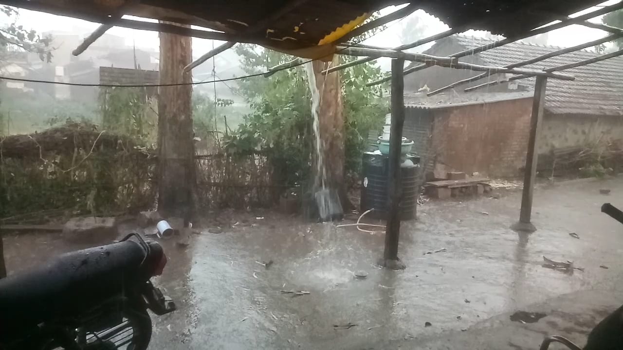 परतीच्या पावसाने पाटण धुमधूमले