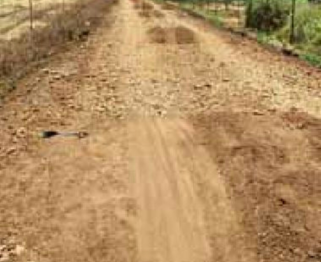 मासळ बु, परिसरातील ३७ पांदन रस्त्याचे काम रखडले