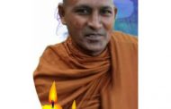 वाघाच्या हल्यात ध्यानात बसलेले बौद्ध भिखू ठार संघारामगिरी ताडोबा येथील घटना