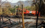 तामकडेत लागलेल्या आगीमधे अनेक जनावरांचा मृत्यू