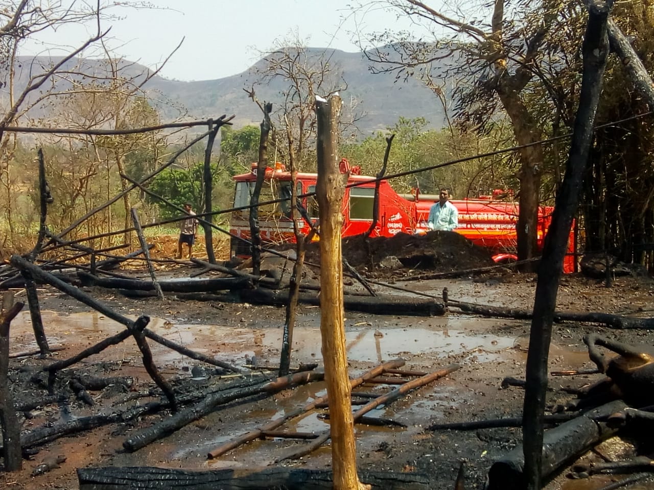 तामकडेत लागलेल्या आगीमधे अनेक जनावरांचा मृत्यू