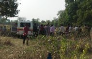 वाघाच्या हल्यात शेतकरी थोडक्यात बचावला, मानेमोहाळी येथील घटना