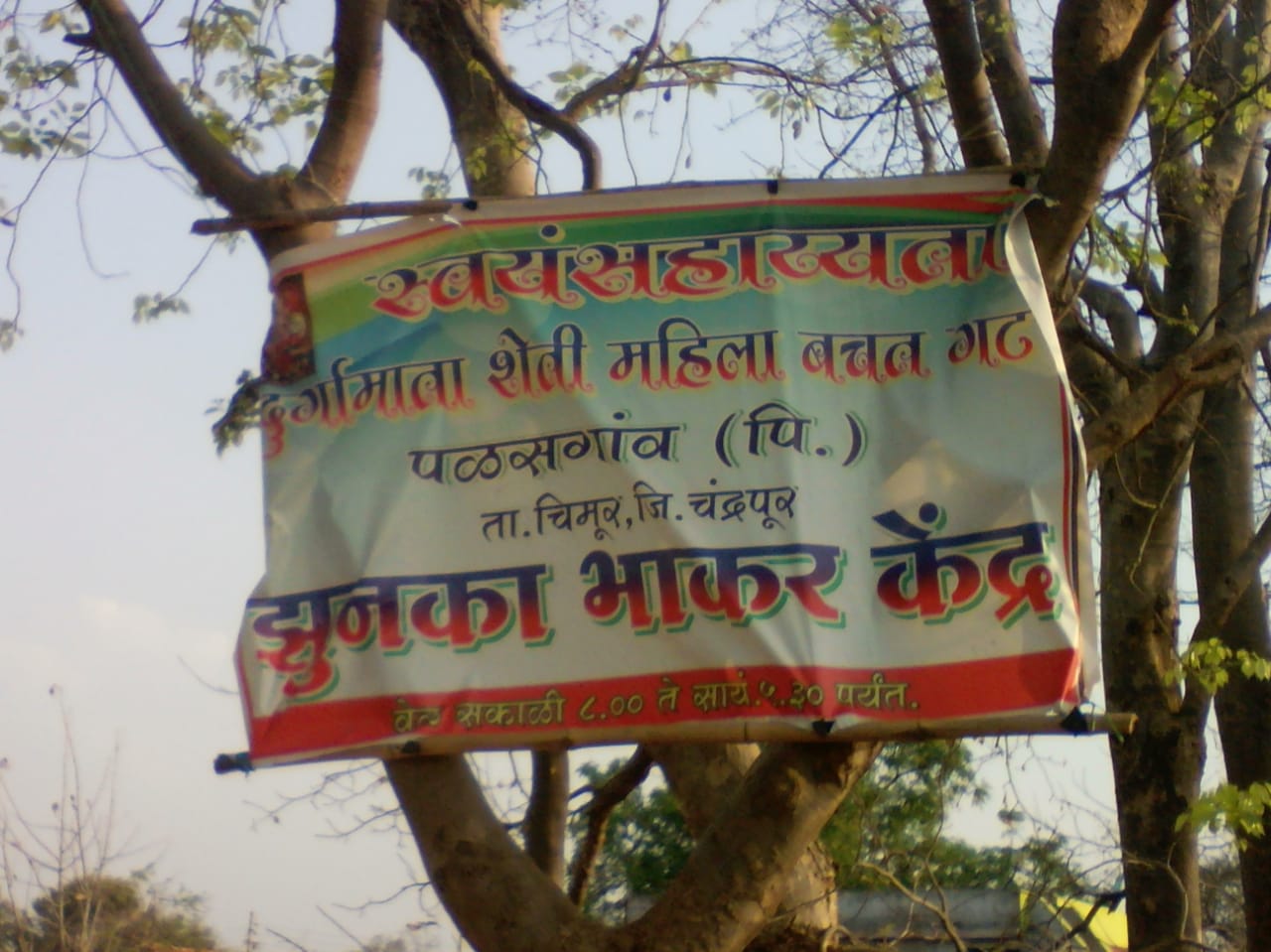 बचत गटाच्या साथीने मिळविला बारमाही रोजगार