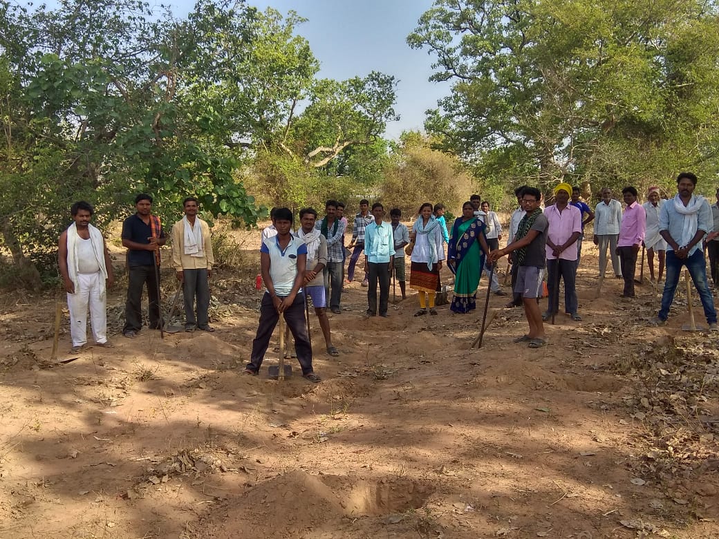 श्रमदानातून उभी राहतेय निसर्गसृष्टी