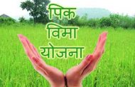 पिक कर्ज,विमा योजनेची शेतकरी संघटनेची आयुक्तांनकडे तक्रार