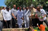 महाराष्ट्र राज्याचे माजी उपमुख्यमंत्री अजितदादा पवार यांचा वाढदिवस वृक्षारोपण करून साजरा