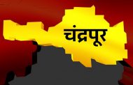 चिमूर विधान सभा क्षेत्रात, चौरंगी लढत. कोण बाजी मारणार हे निवडणूक निकालानंतर
