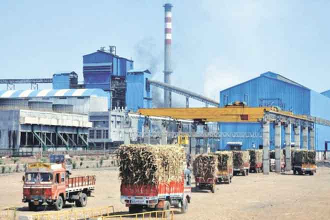 यंदाचा गाळप हंगाम १ नोव्हेंबरला सुरू करण्याची खासगी कारखान्यांची मागणी