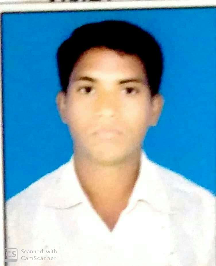धानाची डीबली रचताना सापदंश केल्याने तरुण मजुरांचा मृत्यू..