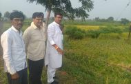 अतिवृष्टीने झालेल्या पीक नुकसानीची आ.कीर्तिकुमार भांगडियांनी केली पाहणी