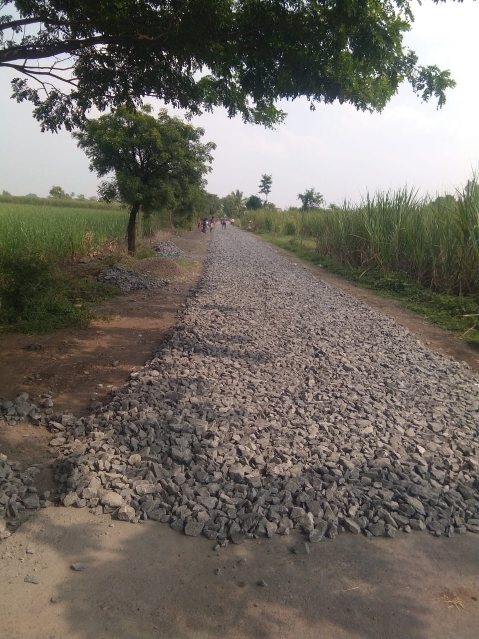 फडतरवाडी रस्त्याची साईड पट्ट्या योग्य रितीने डांबरीकरण करुन मुजवा अन्यथा आंदोलन.