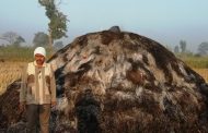 गोविंदपुर येथील शेतातील उभी केलेली धाणाची डिबलीला आग लागुन धानाची झाली राख