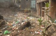 नातेपूते टपाल कार्यालय कचऱ्याच्या विळख्यात; कर्मचाऱ्यांचे आरोग्य धोक्यात…