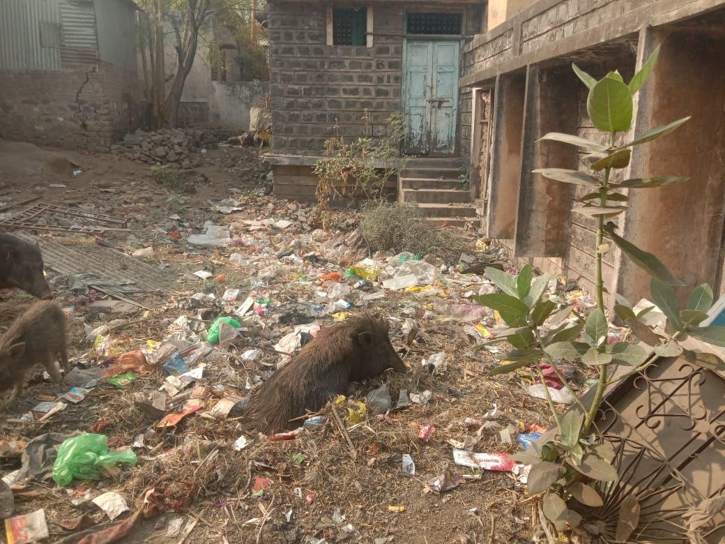नातेपूते टपाल कार्यालय कचऱ्याच्या विळख्यात; कर्मचाऱ्यांचे आरोग्य धोक्यात…