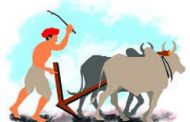 शेतकऱ्यांसाठी सरकारची मोठी घोषणा; एकाच अर्जावर मिळणार अनेक योजनांचा लाभ