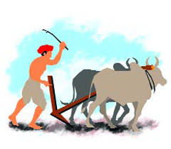 शेतकऱ्यांसाठी सरकारची मोठी घोषणा; एकाच अर्जावर मिळणार अनेक योजनांचा लाभ