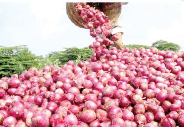 चादंवड कृषि उत्पन्न बाजार समिती कांदा खरेदी सुरू…