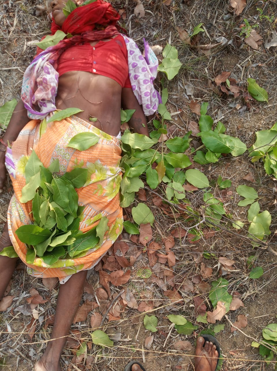 वाघाच्या हल्ल्यात कोलारा येथील महिला ठार