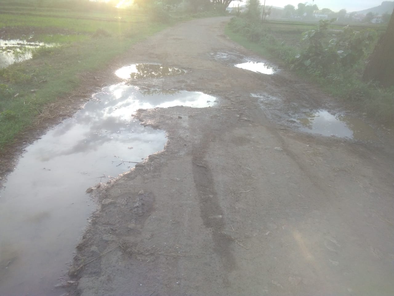 सोनापूर,येनोली ते तळोधी बा.रस्त्याची दैनिय अवस्था...