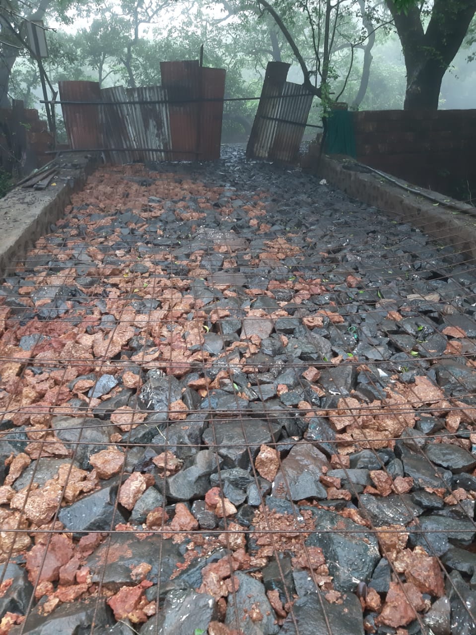 नैसर्गिकरित्या संवेदनशील महाबळेश्वरमध्ये होतेय बेसुमार जंगलतोड तहसील प्रशासन मात्र गांधारीच्या भूमिकेत तर स्थानिकांमध्ये संताप