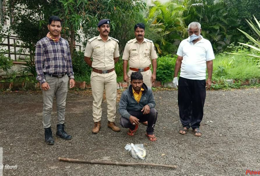 साप मारून सोशल मीडियावर वर फोटो व्हायरल केल्या प्रकरणी गुन्हा दाखल.