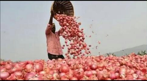 कांदा प्रश्नांबाबत केंद्राचे निर्णय शेतकऱ्यांसाठी अडचणीचे- छगन भुजबळ
