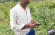 तितर पक्ष्यांचे शिकार केल्या प्रकरणी गुन्हा दाखल