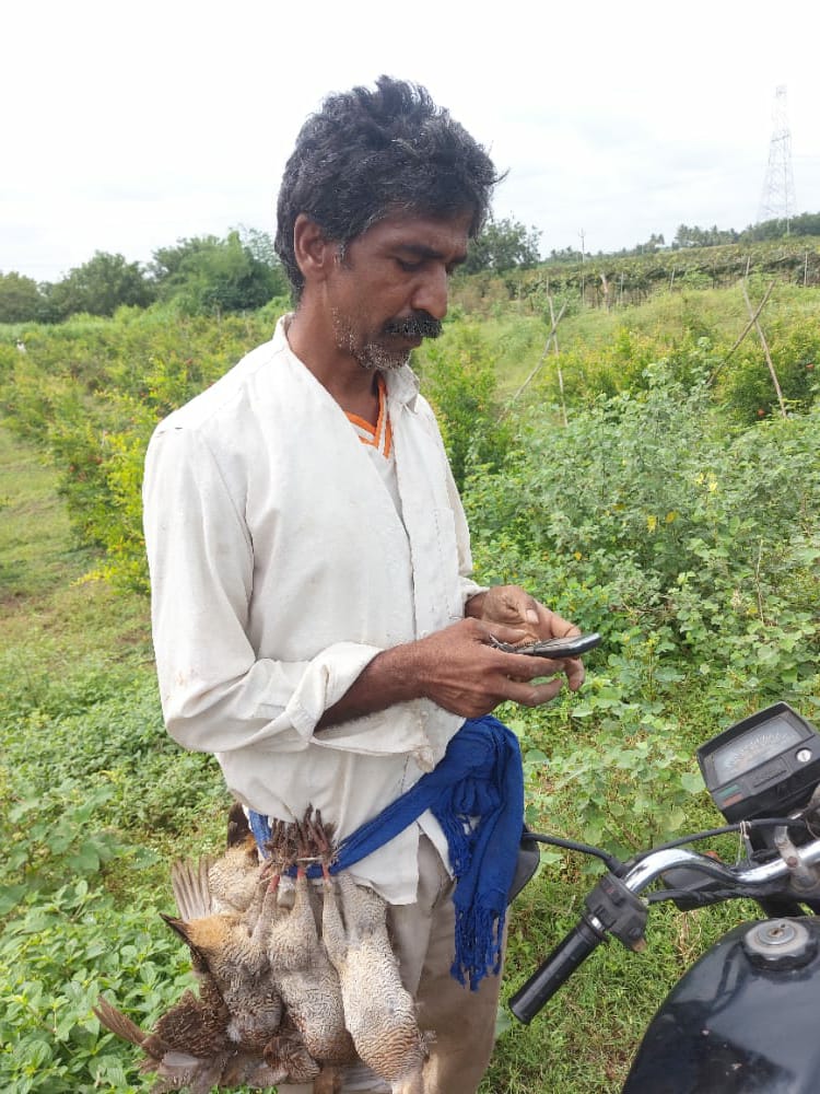 तितर पक्ष्यांचे शिकार केल्या प्रकरणी गुन्हा दाखल