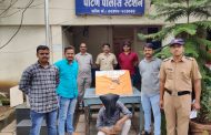 पिस्टल बाळगणारा पाटण पोलिसांच्या जाळ्यात; पाटण पोलिस स्टेशनची  उत्तम कामगिरी
