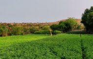 पीक विम्याचा बीड पॅटर्न  पूर्ण राज्यात राबवावा, राज्याची केंद्राकडे मागणी.