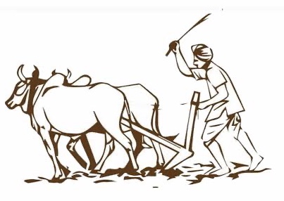 पावसाने दडी मारल्याने तालुक्यातील शेतकरी हवालदिल