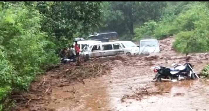 कोयना विभागातील कामारगाव येथे दरड कोसळली