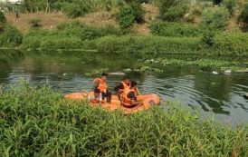 काळेवाडीत नदीत बुडून एकाच मृत्यू...