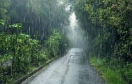 मुंबईसह उपनगरांना मुसळधार पावसाचा तडाखा; सखल भाग जलमय, वाहतूक विस्कळीत