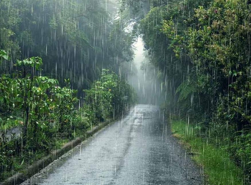 मुंबईसह उपनगरांना मुसळधार पावसाचा तडाखा; सखल भाग जलमय, वाहतूक विस्कळीत