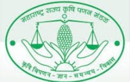 शेतकऱ्यांच्या हितासाठी पणन संचालकांचा मोठा निर्णय: नियमनमुक्तीच्या नावाखाली विनापरवाना खरेदी करणाऱ्या व्यापाऱ्यांवर कठोर कारवाईचे संकेत